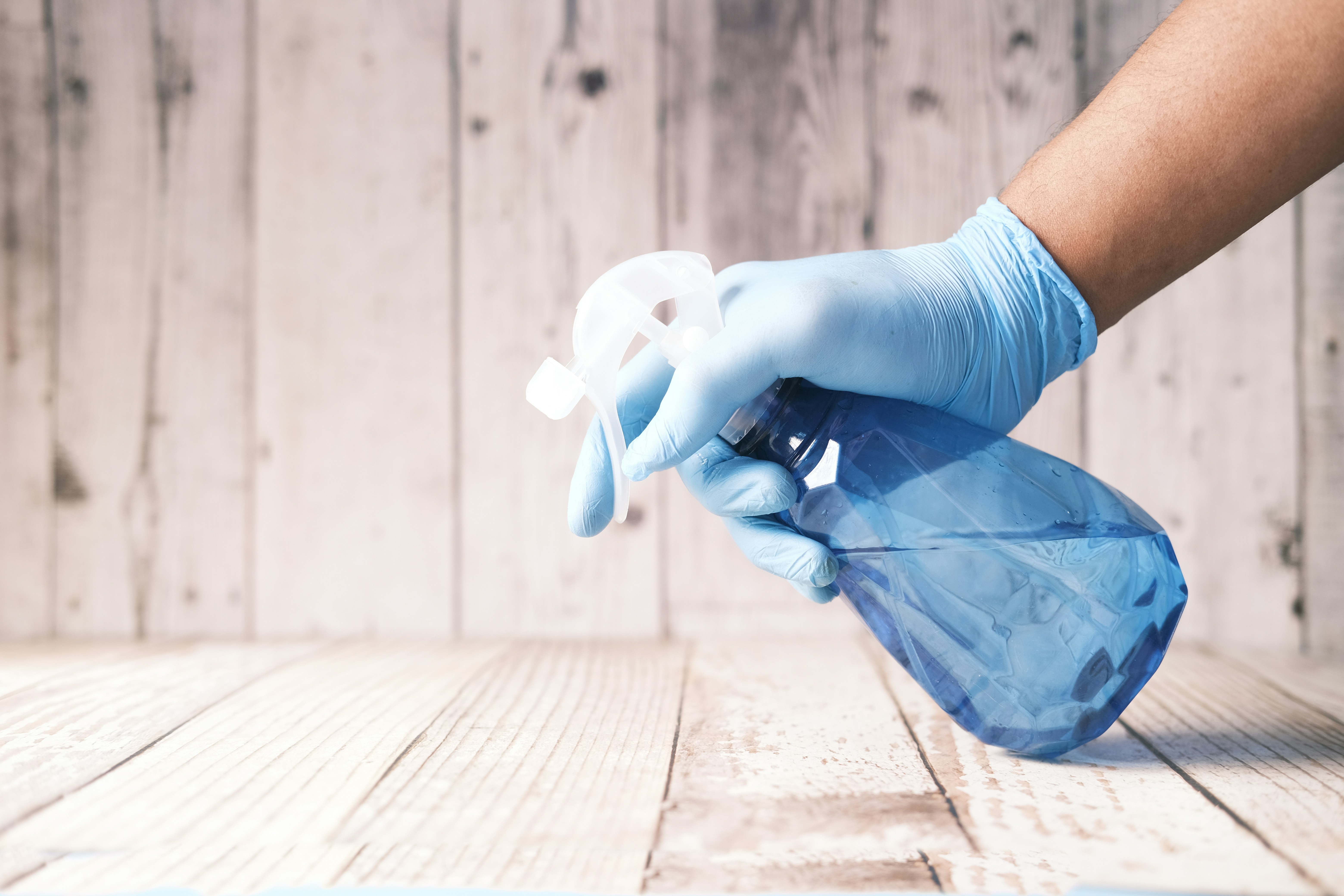Deep Cleaning & Sanitization